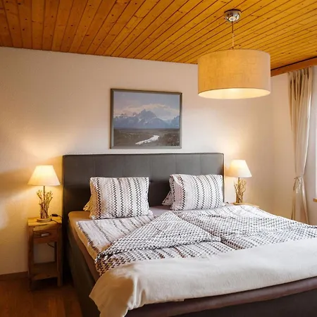 Apartment Alba By Interhome Frutigen